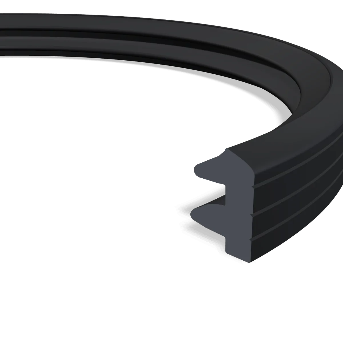 Double-lip sealing ring in section